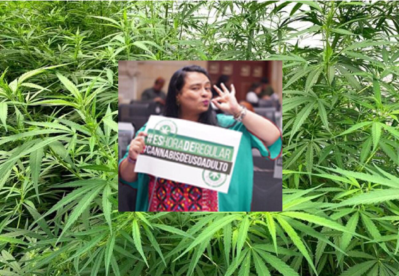 Congresistas promoviendo el consumo de la marihuana en Colombia
